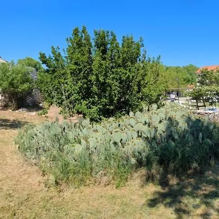 וילה Hacienda De Olivos